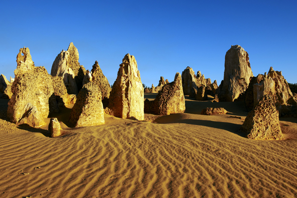Bis zu vier Meter hohe, bizarre Kalksteinsäulen ragen aus dem gelben Sand der Pinnacle-Wüste im Nambung National Park hervor.